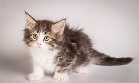 20140513_Y-kull_8_weeks_0045