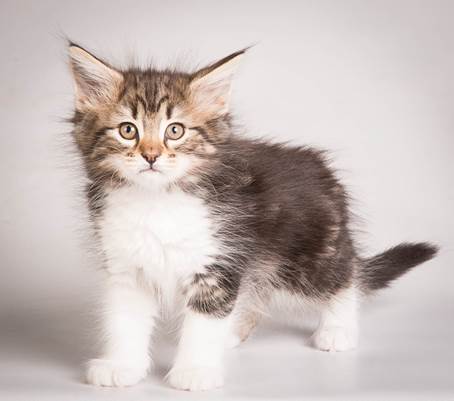 20140513_Y-kull_8_weeks_0068