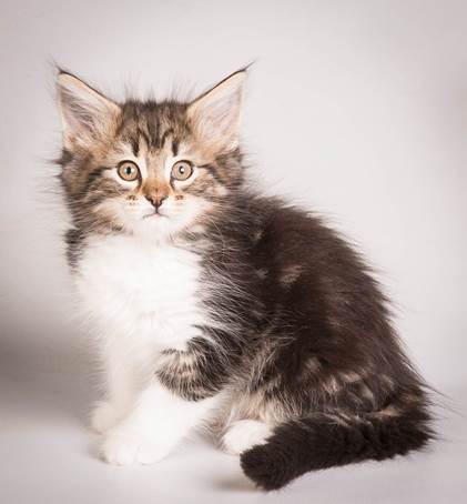 20140513_Y-kull_8_weeks_0066