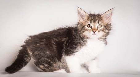 20140513_Y-kull_8_weeks_0061