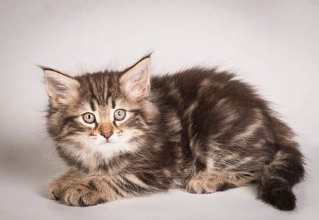 20140513_Y-kull_8_weeks_0083