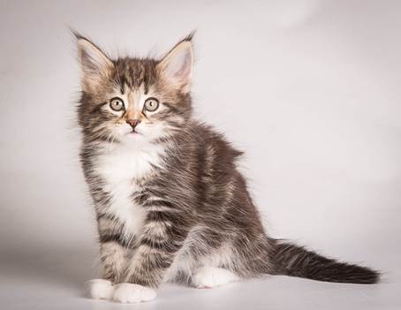 20140513_Y-kull_8_weeks_0097