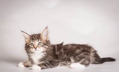 20140513_Y-kull_8_weeks_0095