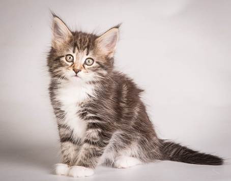 20140513_Y-kull_8_weeks_0098