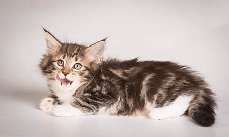 20140513_Y-kull_8_weeks_0110