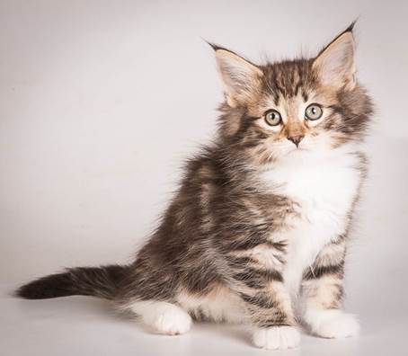 20140513_Y-kull_8_weeks_0108