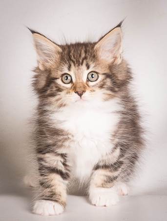 20140513_Y-kull_8_weeks_0106