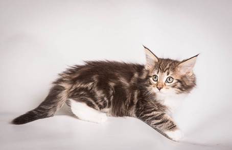 20140513_Y-kull_8_weeks_0102