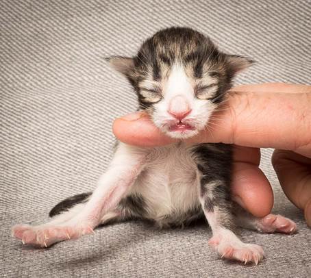 20140318_Y-kull_newborn_0040