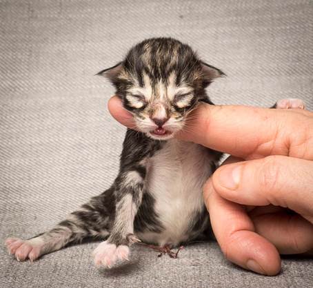 20140318_Y-kull_newborn_0078