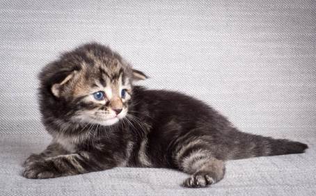 20140714_Z-kull_15_days_0006