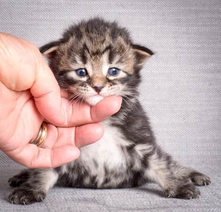 20140714_Z-kull_15_days_0004