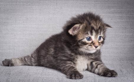 20140714_Z-kull_15_days_0025