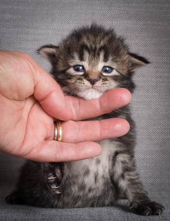 20140714_Z-kull_15_days_0018