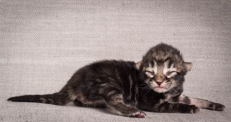 20140702_Z-kull_3_days_0038