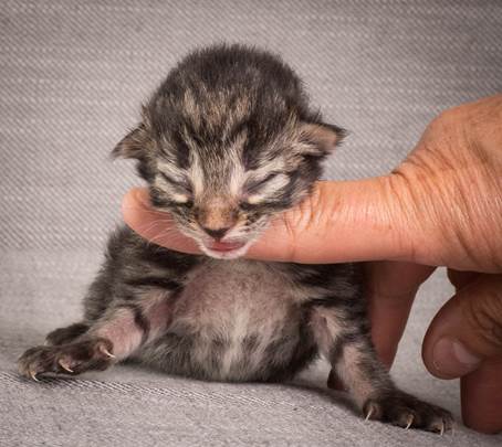 20140702_Z-kull_3_days_0044