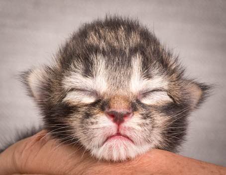 20140702_Z-kull_3_days_0056