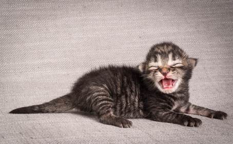 20140702_Z-kull_3_days_0061