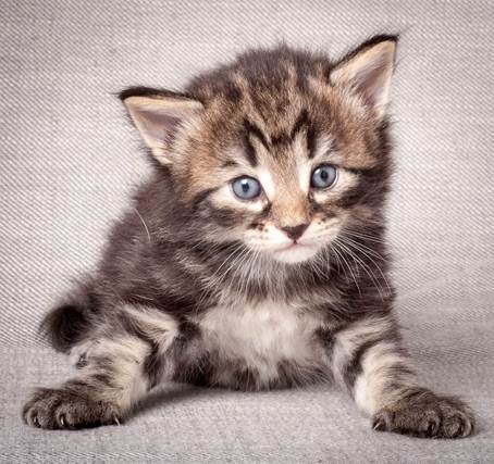 20140720_Z-kull_3_weeks_0033