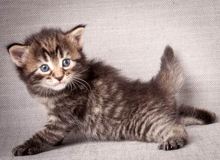 20140720_Z-kull_3_weeks_0055