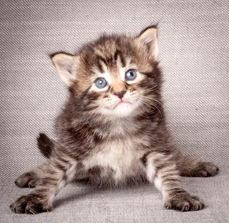 20140720_Z-kull_3_weeks_0049