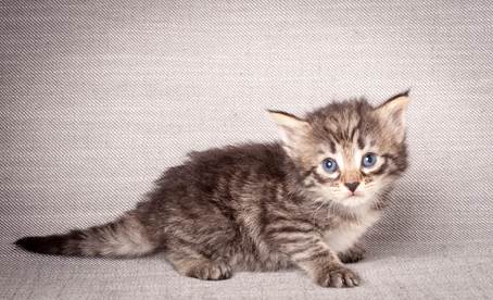 20140720_Z-kull_3_weeks_0070