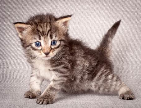 20140720_Z-kull_3_weeks_0069