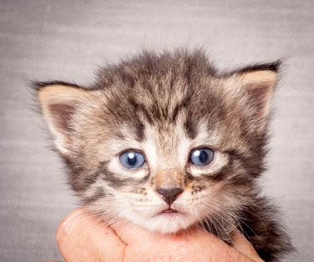 20140720_Z-kull_3_weeks_0066