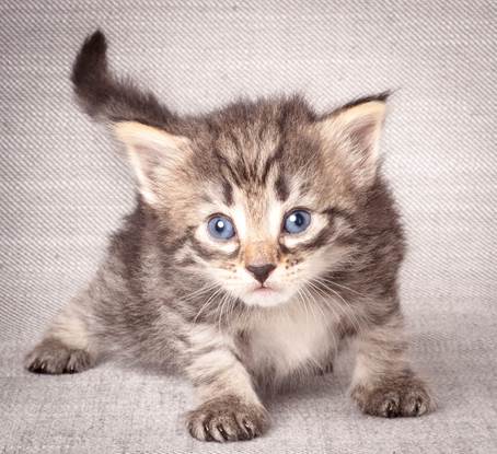 20140720_Z-kull_3_weeks_0062