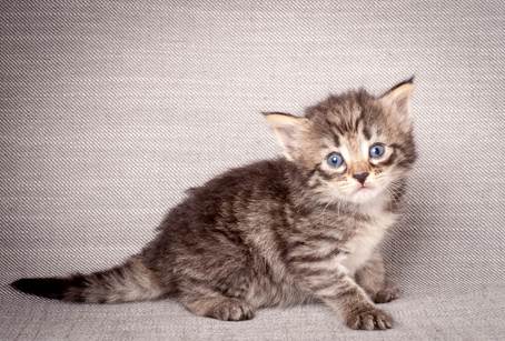 20140720_Z-kull_3_weeks_0071