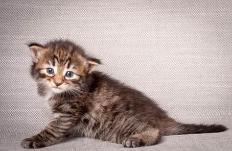 20140720_Z-kull_3_weeks_0083