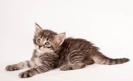 20140727_Z-kull_4_weeks_0072