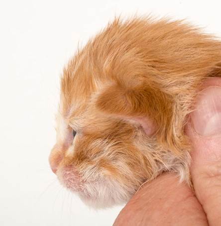 20150610_e2-kull_1_week_0011