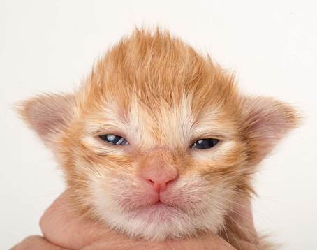 20150610_e2-kull_1_week_0009