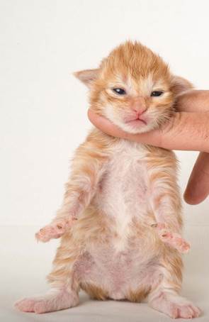 20150610_e2-kull_1_week_0007