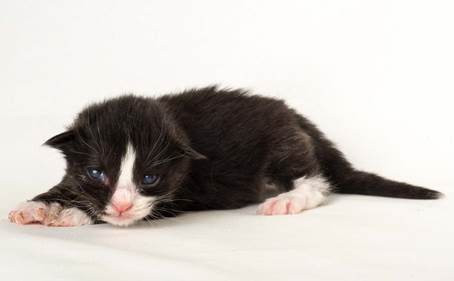 20150610_e2-kull_1_week_0025