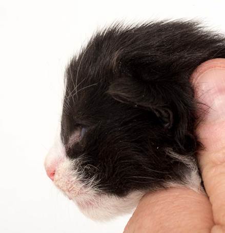 20150610_e2-kull_1_week_0023