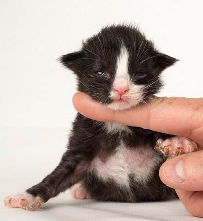 20150610_e2-kull_1_week_0020