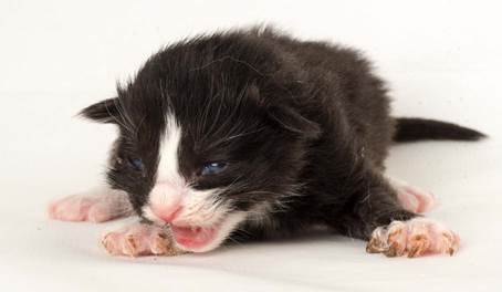 20150610_e2-kull_1_week_0017