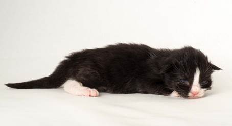 20150610_e2-kull_1_week_0026