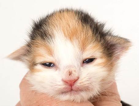 20150610_e2-kull_1_week_0034