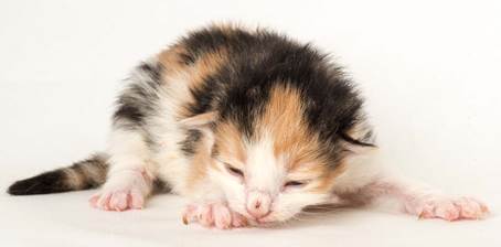 20150610_e2-kull_1_week_0028