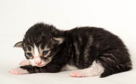 20150610_e2-kull_1_week_0058