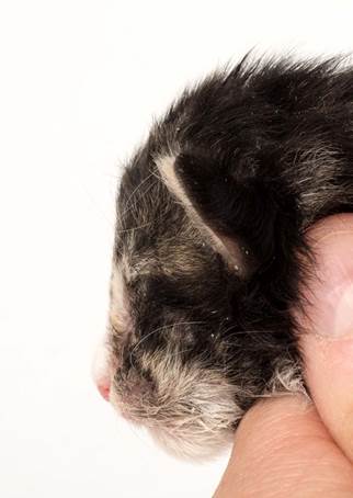 20150610_e2-kull_1_week_0056