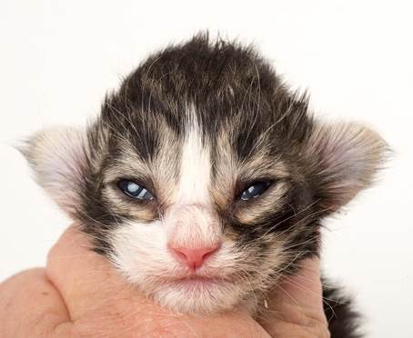 20150610_e2-kull_1_week_0053