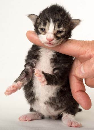 20150610_e2-kull_1_week_0051