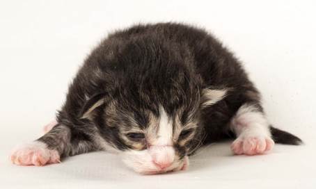 20150610_e2-kull_1_week_0049