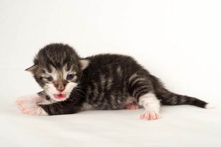 20150610_e2-kull_1_week_0072