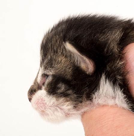 20150610_e2-kull_1_week_0071