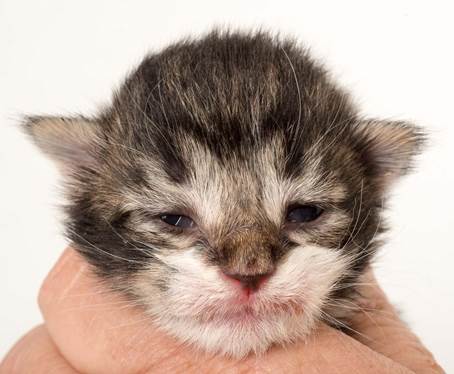 20150610_e2-kull_1_week_0068